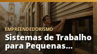 Sistemas de Trabalho para Pequenas Empresas: Organize, Padronize e Cresça: o guia completo