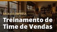 Treinamento de Time de Vendas: Transforme Vendedor Comum em Campeão: o guia completo