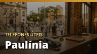 Telefones Úteis em Paulínia (019): Lista de Contatos Importantes