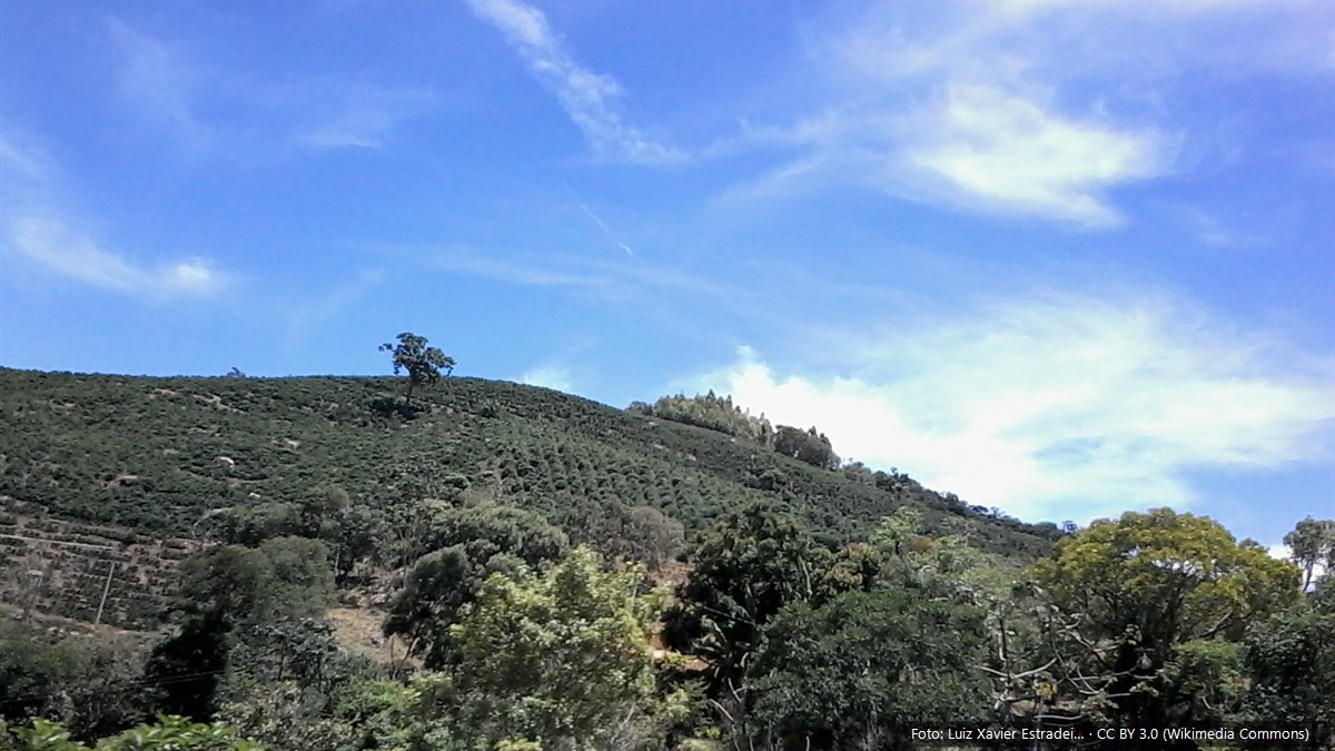 Vista de Divinolândia