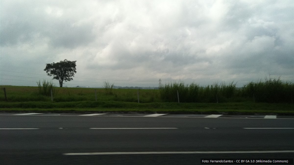 Vista de Nova Odessa