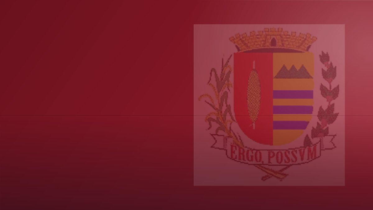 Capa institucional de Vargem Grande do Sul, nas cores do brasão
